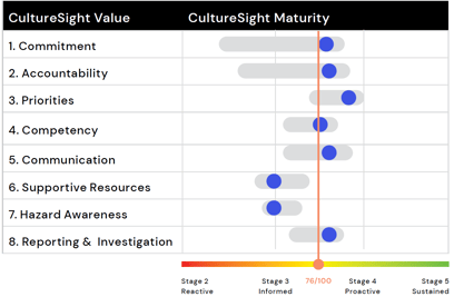 CultureSight Analysis_Midstream