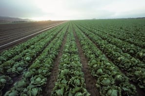 Integrating ESG into Supply Chain Blog 2022