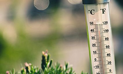 hot summer weather 2021